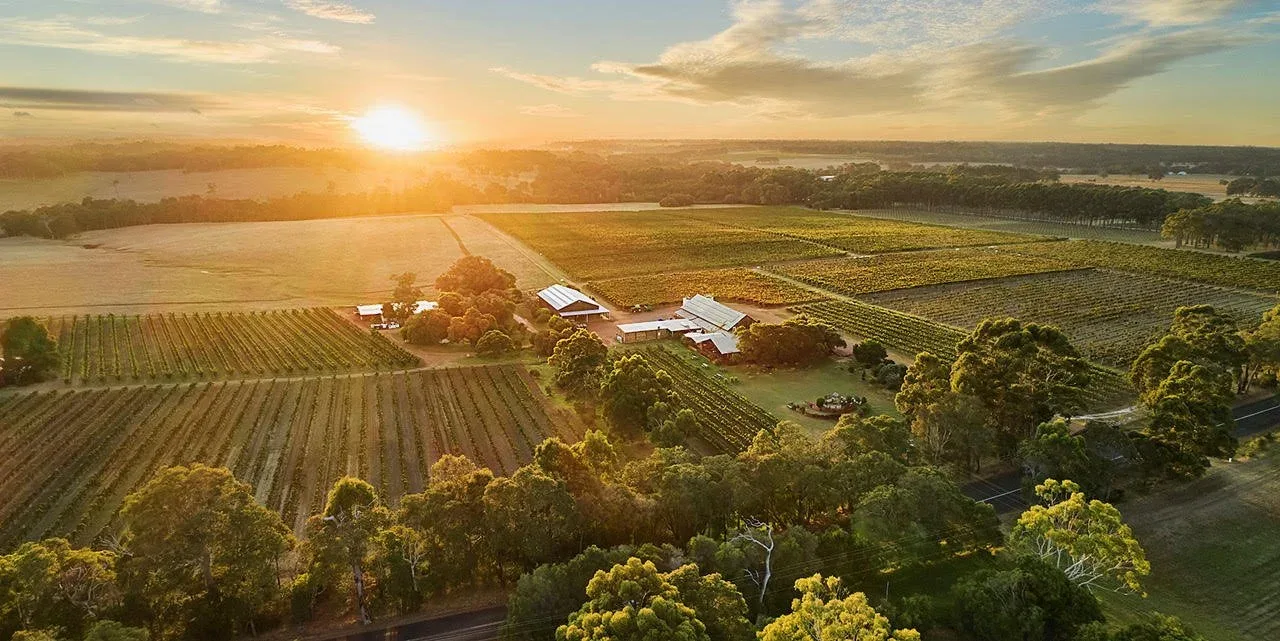 An aerial shot at sunset showing the vineyards at Cullen Wines Margaret River