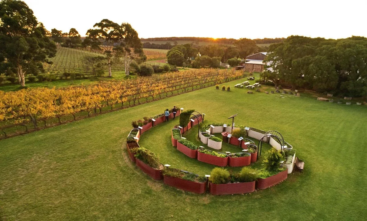 A photograph at sunset showing the biodynamic kitchen gardens at Cullen Wines