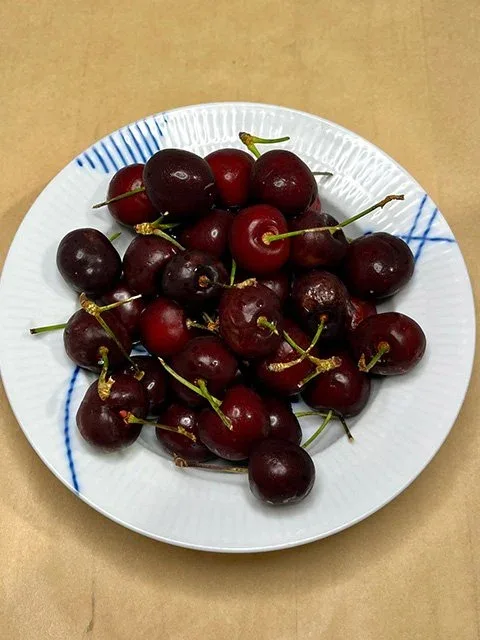A white bowl filled with fresh cherries